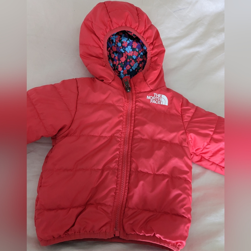 Winter Jacket